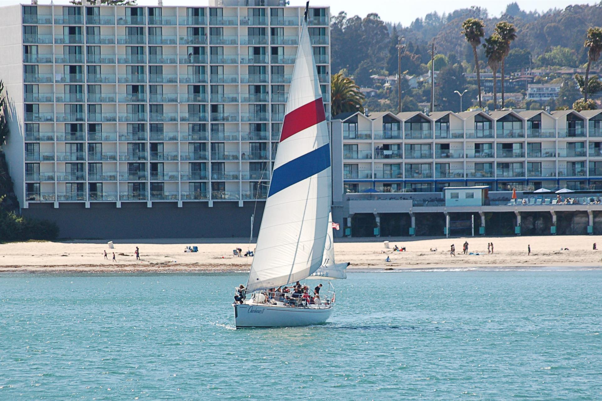 Chardonnay Sail 