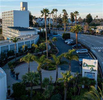 Botanical Lunch and Stroll