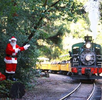 Roaring Camp Railroad: Holiday Tree Walk 