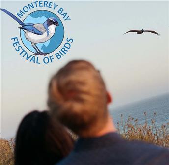 Santa Cruz County: Monterey Bay Festival of Birds
