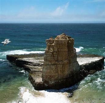 Wilder Ranch State Park: Guided Coastal Birding Walk
