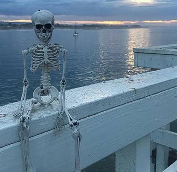 Santa Cruz Wharf: 13 Days of Halloween 