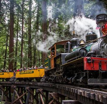 Rainforest Weekends @ Roaring Camp Railroad 