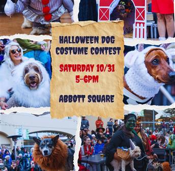 Abbott Square: Dog Halloween Costume Contest  